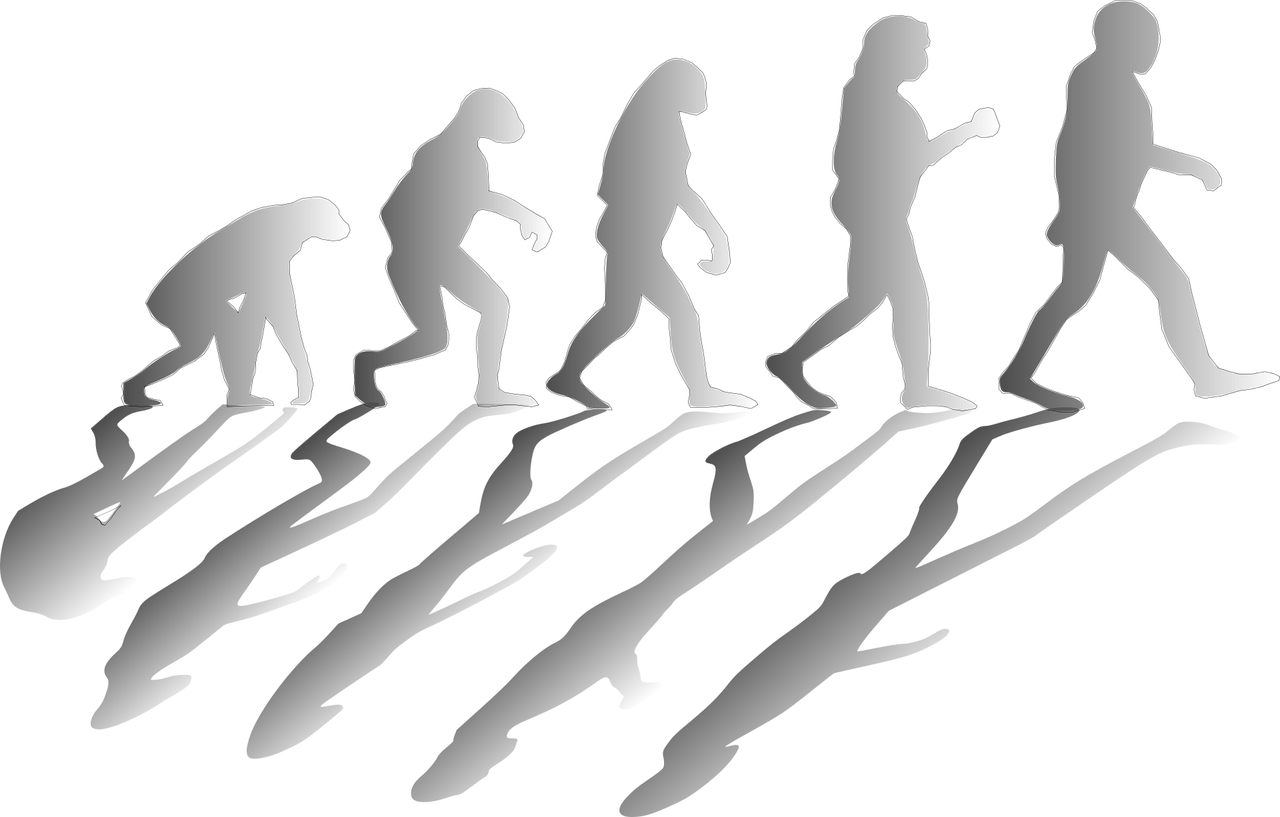 ¿Cómo fue la evolución del ajedrez?