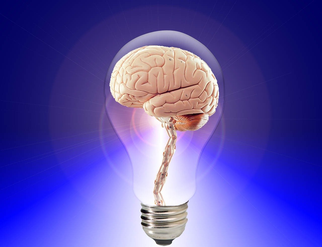 ¿Qué es la Inervacion del cerebro?