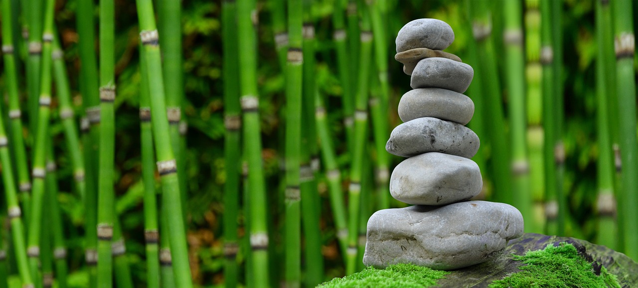 ¿Qué es el equilibrio en la Educación Física?