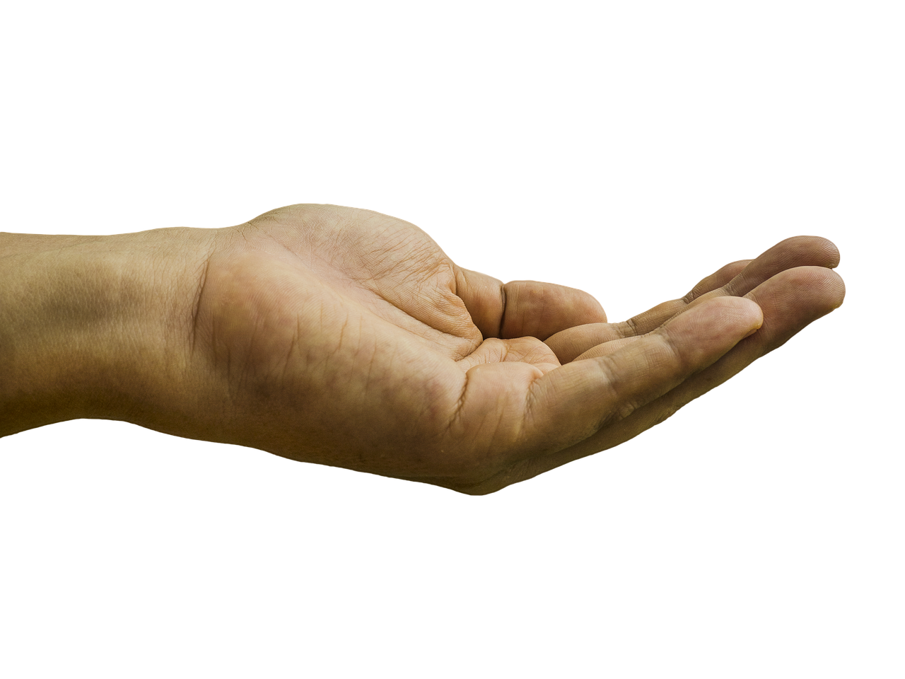 ¿Qué entiendes por la recepción?
