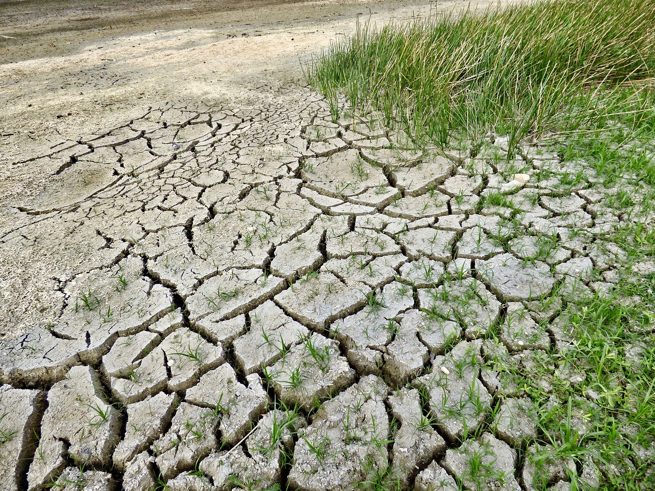 ¿Qué sirve el calentamiento?
