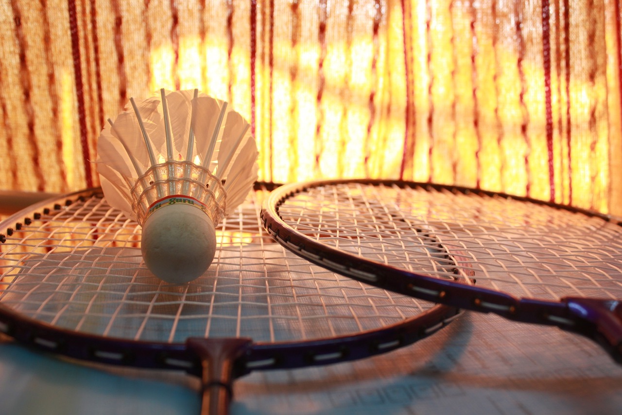 ¿Cómo es el terreno de juego del bádminton?